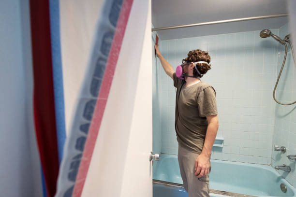 Mold Removal for HVAC Installations in Newberry, SC