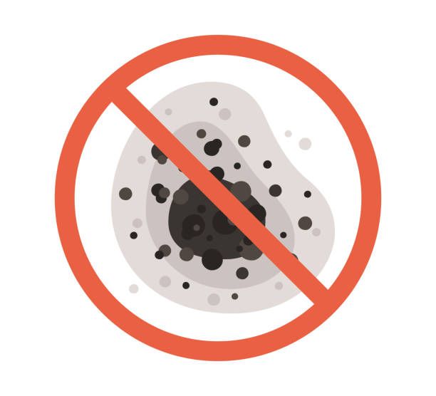 Professional Mold Removal in Newberry, SC