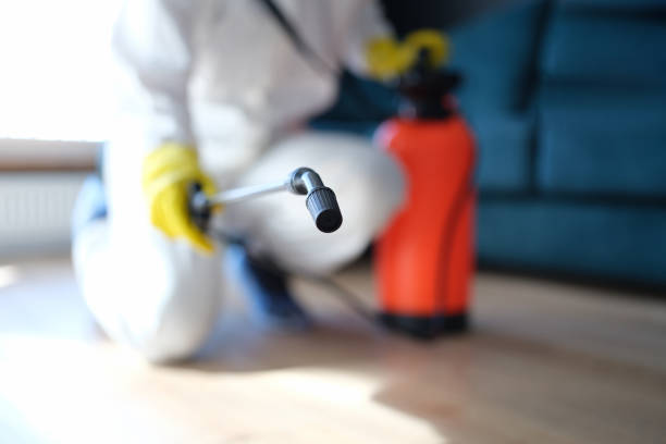 Best Mold Odor Removal Services  in Newberry, SC